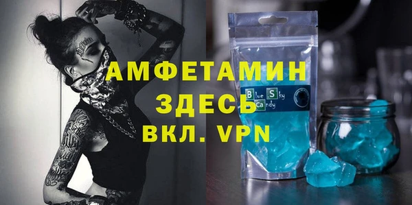 индика Новочеркасск